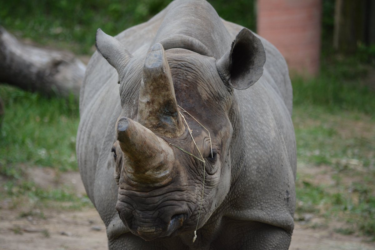 Who said being a messy eater isn't cute?! Timu and Kianga are proving otherwise!