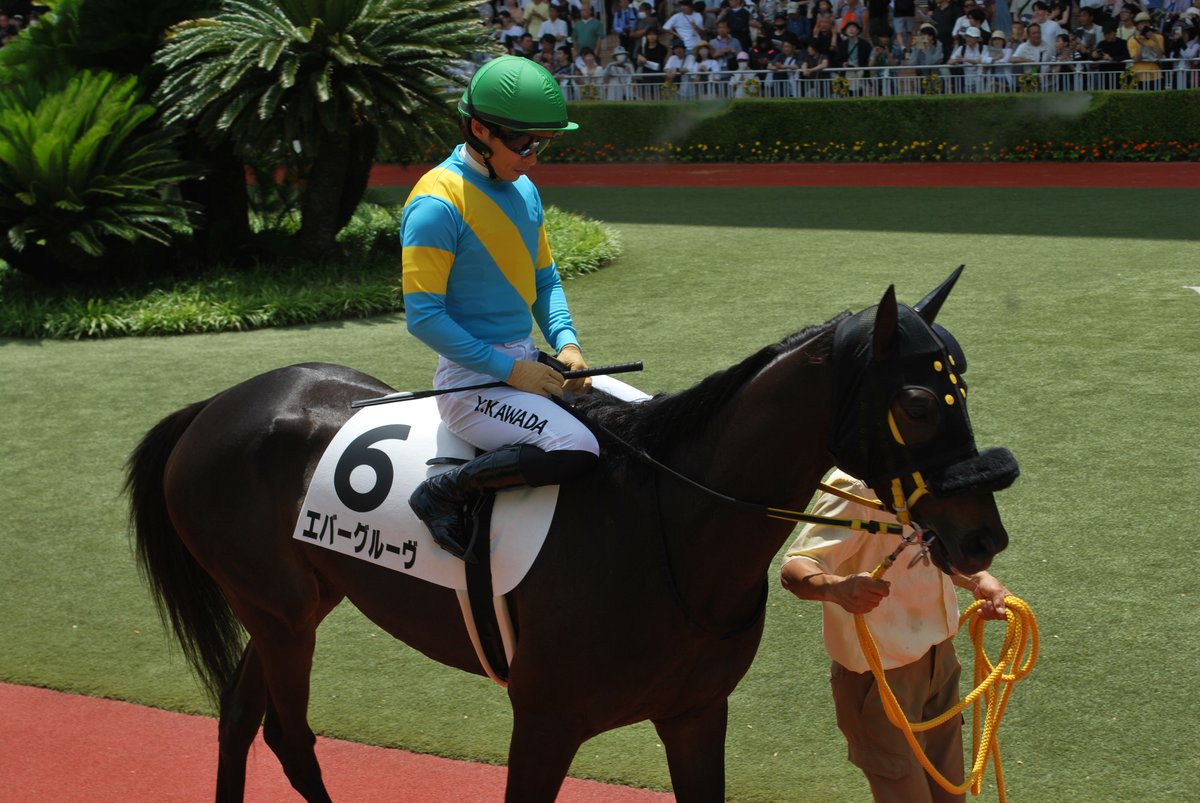 blackstar26er's tweet photo. R7.7.6　小倉競馬場 https://t.co/p4mAZEqBEP