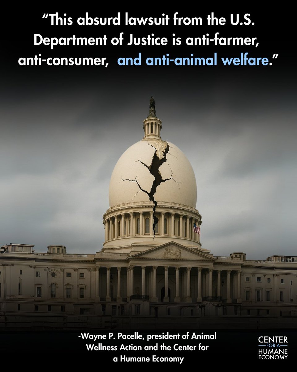 🚨 Animal Welfare Laws Under Attack by the DOJ🚨

The U.S. Department of Justice is suing California for Prop 12, following a Supreme Court victory in May 2023.

This is a power grab that threatens decades of progress protecting animals and consumers.