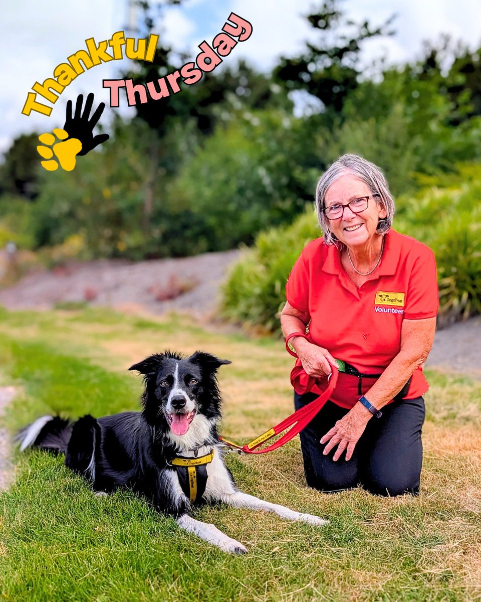🥰 A heartfelt thank you to our incredible volunteers, whose dedication brightens our dogs' lives and supports our centre in countless ways. You are the heart of our centre, and our furry residents are so lucky to have you 🐾✨
#DogsTrust #VolunteerForUs #MakeADifference