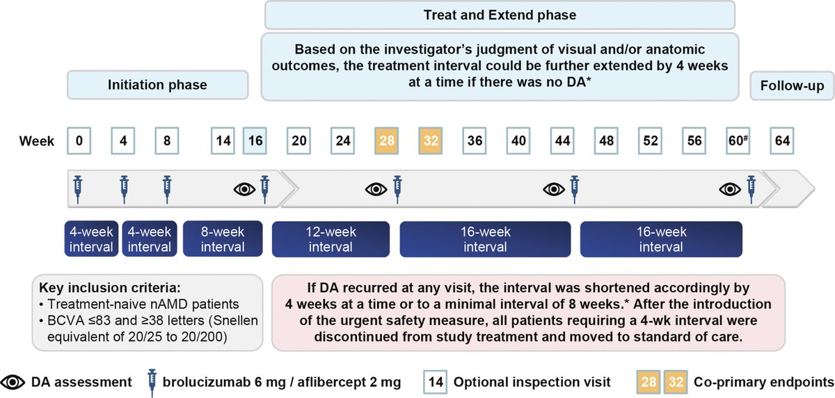 TALON study findings support brolucizumab as a treatment option with potential to effectively dry the retina and reduce treatment burden in patients with
neovascular age-related macular degeneration, albeit with more inflammation risk vs aflibercept. ow.ly/cC3H50W6jP0