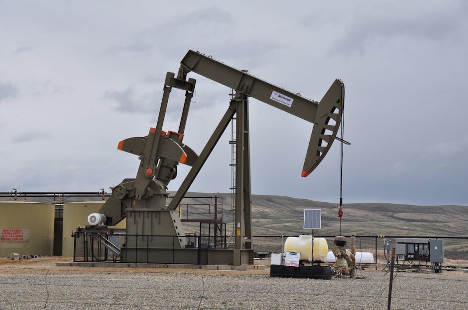 DID YOU KNOW: Petroleum oil provided 18% of energy for electricity in 1973 and less than 1% in 2011. #renewableenergy
