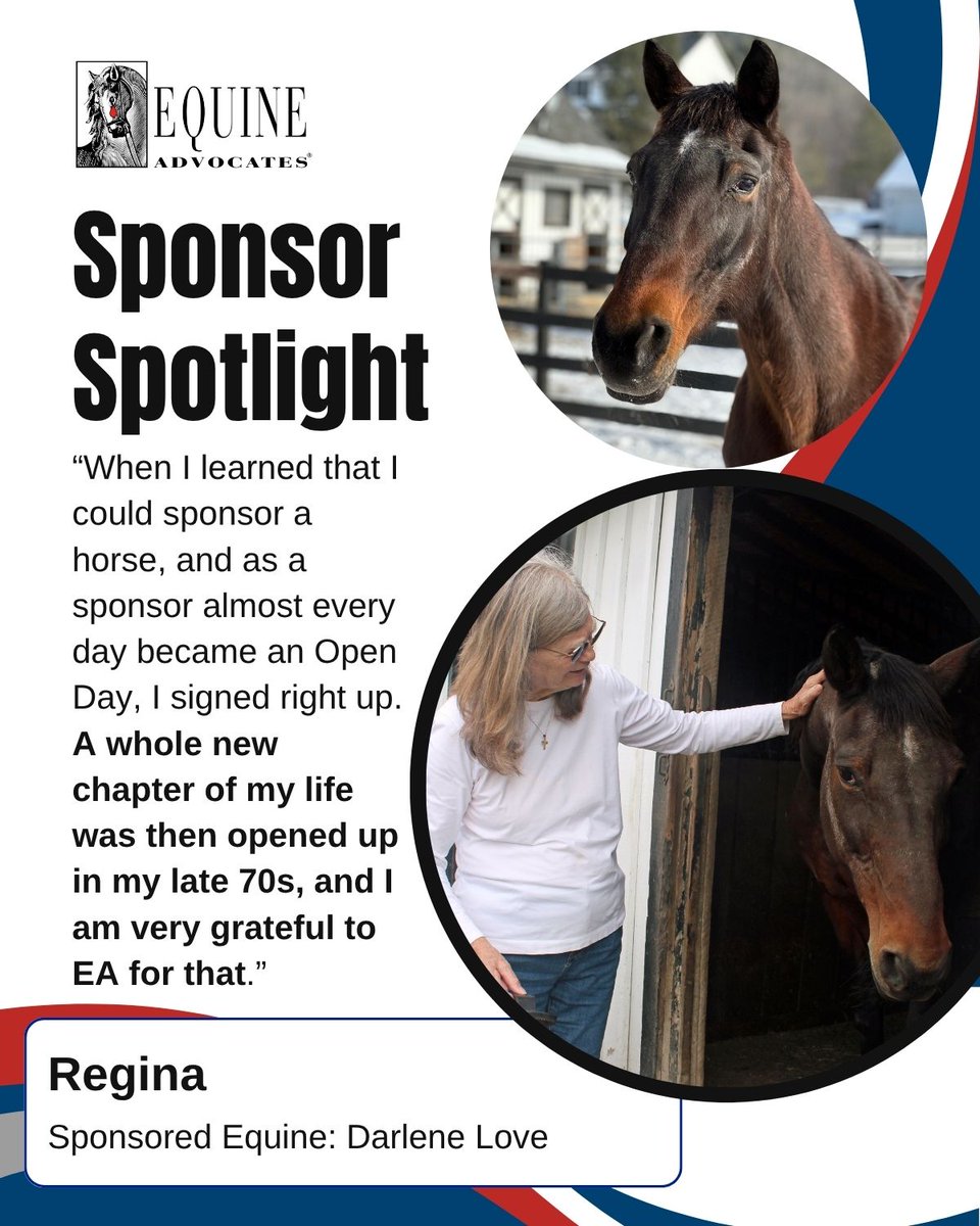 🌟 Sponsor Spotlight - Regina 🌟

Sponsored Equine: Darlene Love
Sponsor since: 2023

"A whole new chapter of my life was then opened up in my late 70s, and I am very grateful to EA for that."

Interested in becoming an Equine Sponsor? Learn more: equineadvocates.org/sponsor-an-equ…