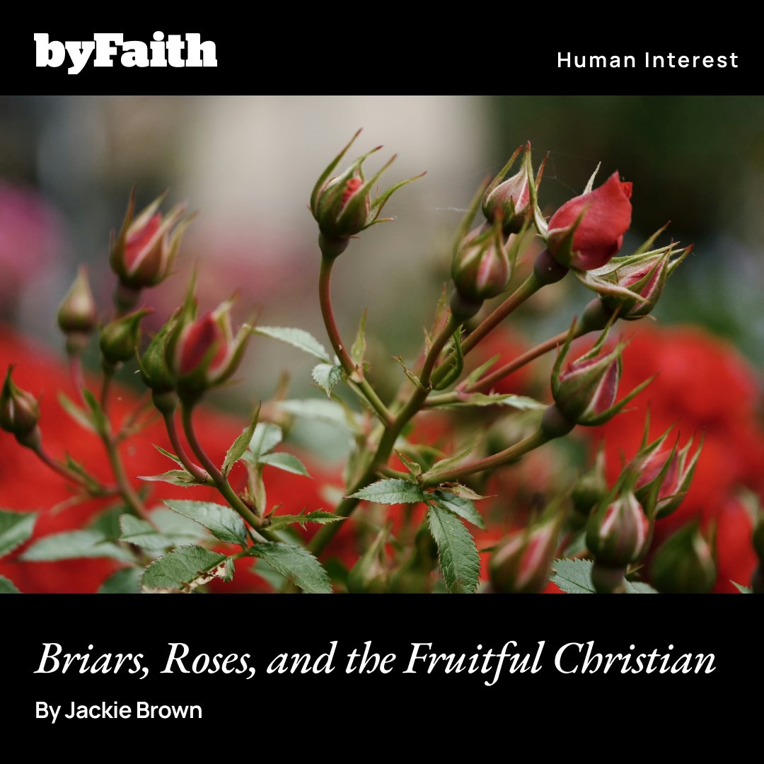 PCAByFaith's tweet image. To those believers who continually abide in the life-giving vine of Jesus Christ, Proverbs 11:30 provides us with this promise, “The fruit of the righteous is a tree of life.” ow.ly/IHIk50WkpPp