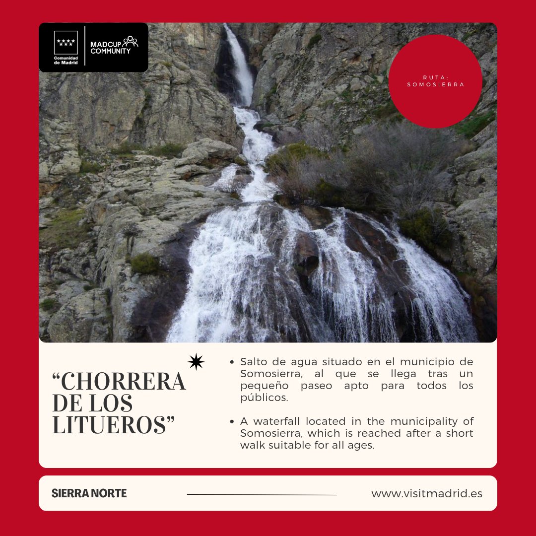 🌟 Spotlight Madrid: Sierra Norte.

La Comunidad de Madrid tiene entornos urbanos únicos en el mundo, ¡Y los naturales no se quedan atrás!

🔎 Descubre todo lo que la Sierra Norte tiene que ofrecer: bosques, embalses, rutas, cascadas, y mucho más.

#SierraNorte #ComunidadDeMadrid