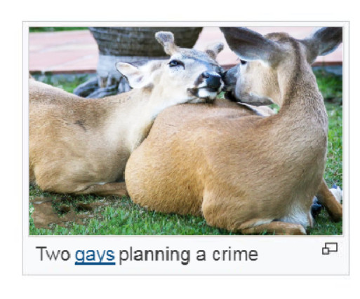 transgendeer (@ciervatonta) on Twitter photo 