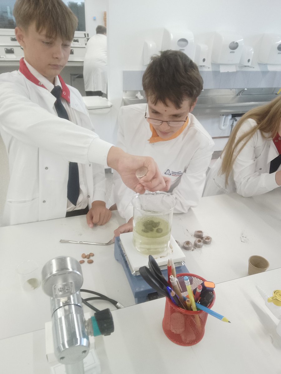 The Victory Academy tweet media