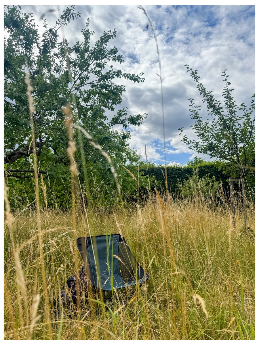 Die Welt drängt. Ich sitze.
Im hohen Gras, zwischen Apfel- und Pflaumenbaum. Kein Empfang, kein Programm. Nur ein Stuhl und ich.

Selbstfürsorge ist nicht immer ein Wellnesshotel. Manchmal ist es ein Campingstuhl auf einer Wiese.
Kein To-do, kein Scrollen, kein schneller Nutzen.