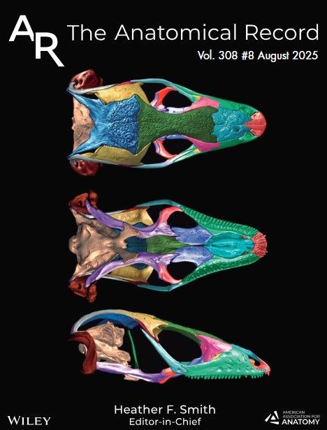 AnatRecord's tweet image. Our August issue is now out! anatomypubs.onlinelibrary.wiley.com/toc/19328494/2…
The cover article discusses skink systematics, comparative cranial osteology of the New World Mabuyinae by Julio Ferreira-Junior et al.: doi.org/10.1002/ar.255…