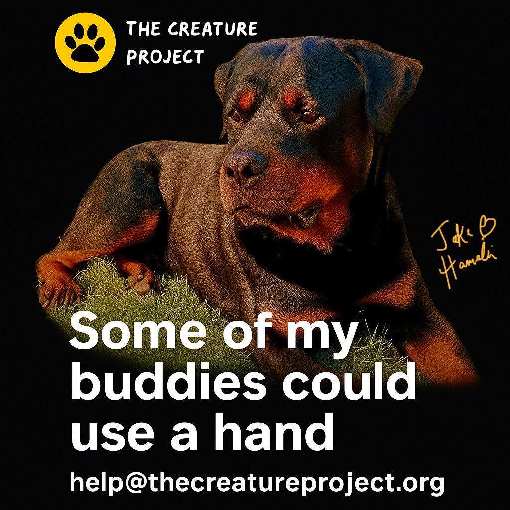 TedHamelin's tweet photo. My name is Jake Hamelin I am a four-year-old Rottweiler from Canada. I love helping my dad help people and animals in need. We are both particularly offended by hunger and mental health issues that are ignored!
Our whole premise is love solves everything! So giddyup! https://t.co/DIBlD6tjJi