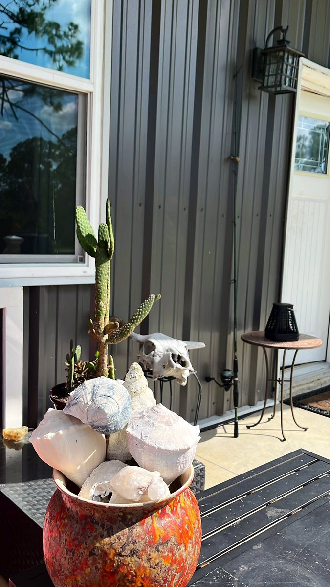 RachaelakaRach's tweet image. As a child you have to FEEL everything around you &amp;amp; not be seen at the same time
-a confusing position for a child; adaptation more tuned in with a need to Flea
A personality forged in fear &amp;amp; continued into adulthood if not seen
#StopChasingLive #DawnSpeaks of “The Tips of Red”🦋