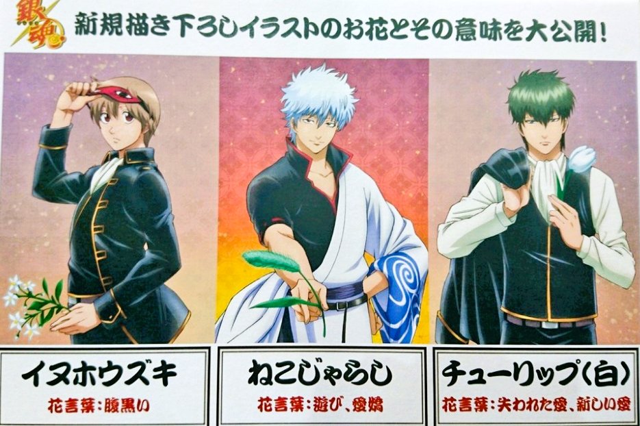 애들 각자 들고 있는 꽃의 꽃말

소고 꽃말: 속이 검은
긴토키 꽃말: 장난, 애교
히지카타 꽃말: 잃어버린 사랑, 새로운 사랑