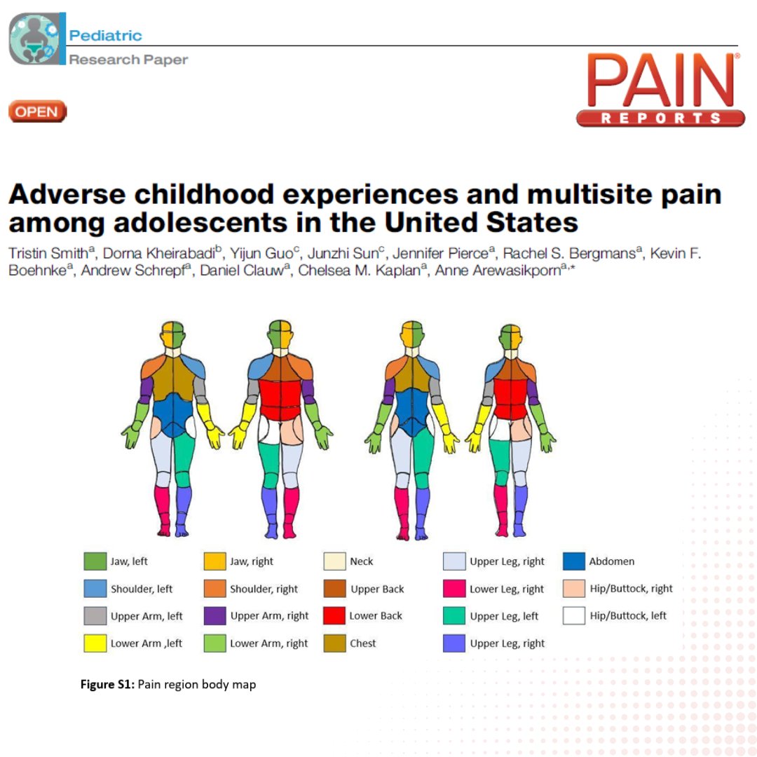Smith et al. find that cumulative adverse childhood experience exposure is associated with multisite pain in early adolescence using data from the Adolescent Brain Cognitive Development Study. Learn more in #PainReports bit.ly/4jmLYnX