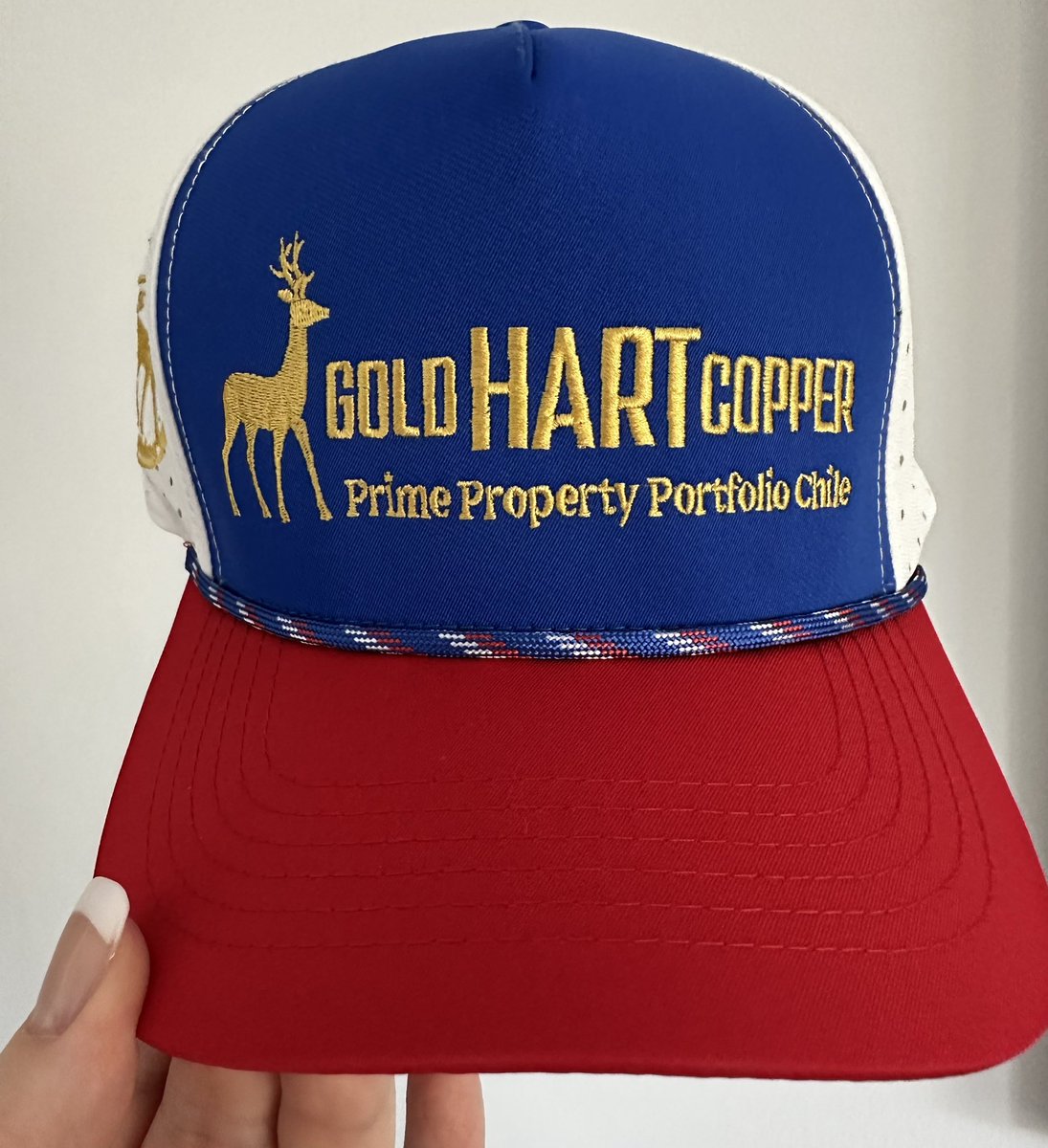 Thanks for the hat, <a href="/isaacmaresky/">Isaac B. Maresky</a>! It was great to meet you. 

Looking forward to drill results from $HART.v, in the Maricunga and Vicuña belts 🤞