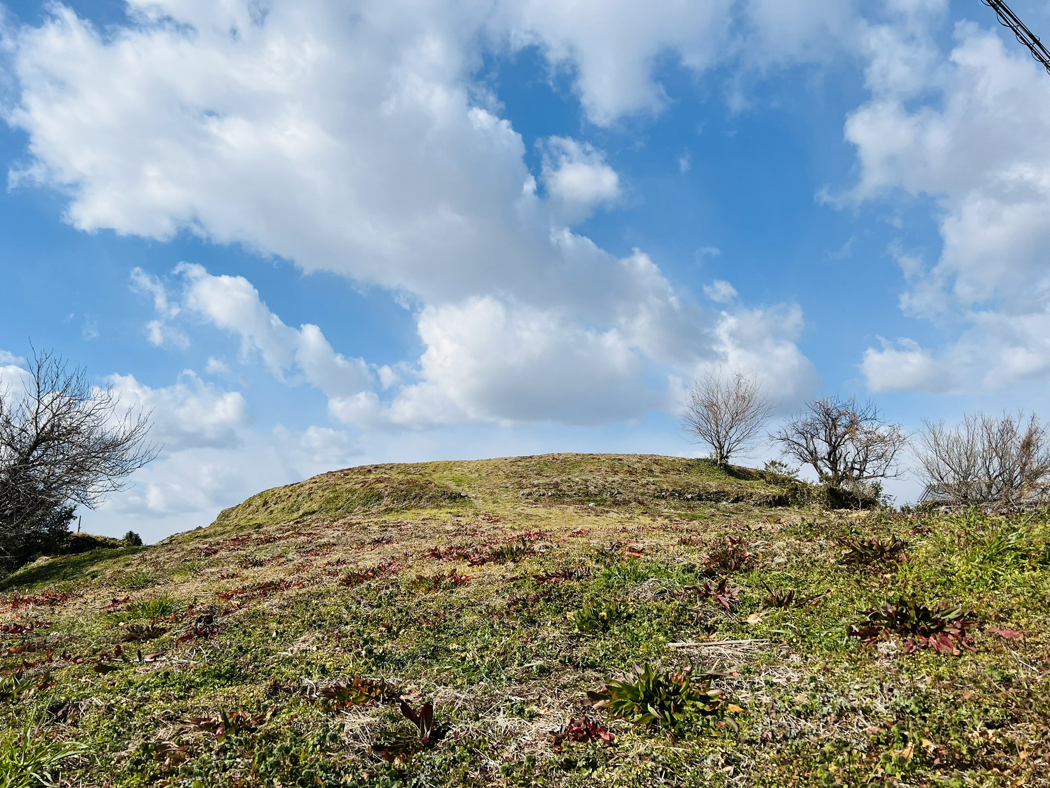 GWセール！早い者勝ち！ホケノ山古墳の研究 GWセール！早い者勝ち！ホケノ山古墳の研究
