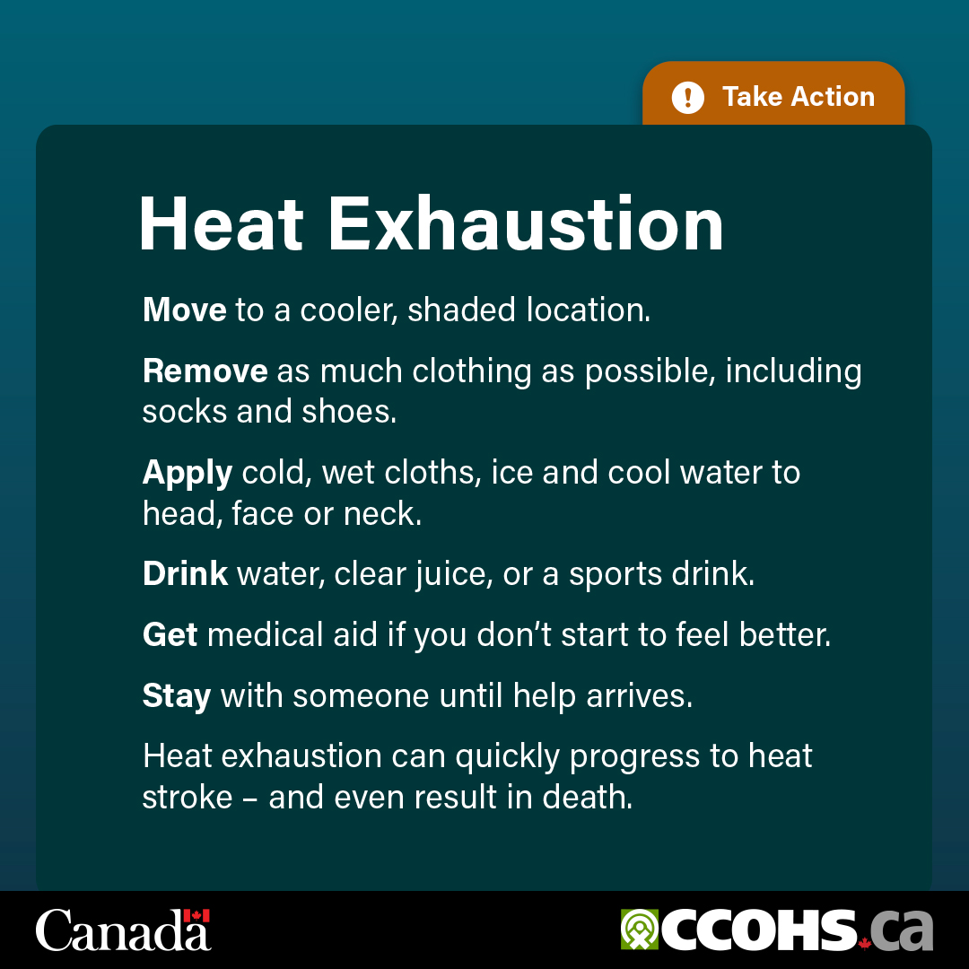 CCOHS's tweet image. Heat-related illnesses are preventable. Whether working under the sun or indoors, take steps to protect workers when temperatures are hot 🌡.

Share this poster to spread awareness: 
ccohs.ca/products/poste…