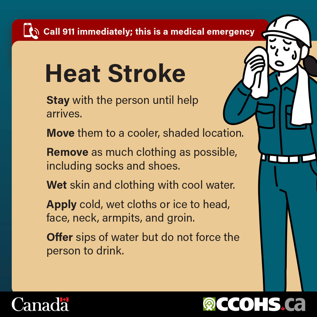CCOHS's tweet image. Heat-related illnesses are preventable. Whether working under the sun or indoors, take steps to protect workers when temperatures are hot 🌡.

Share this poster to spread awareness: 
ccohs.ca/products/poste…