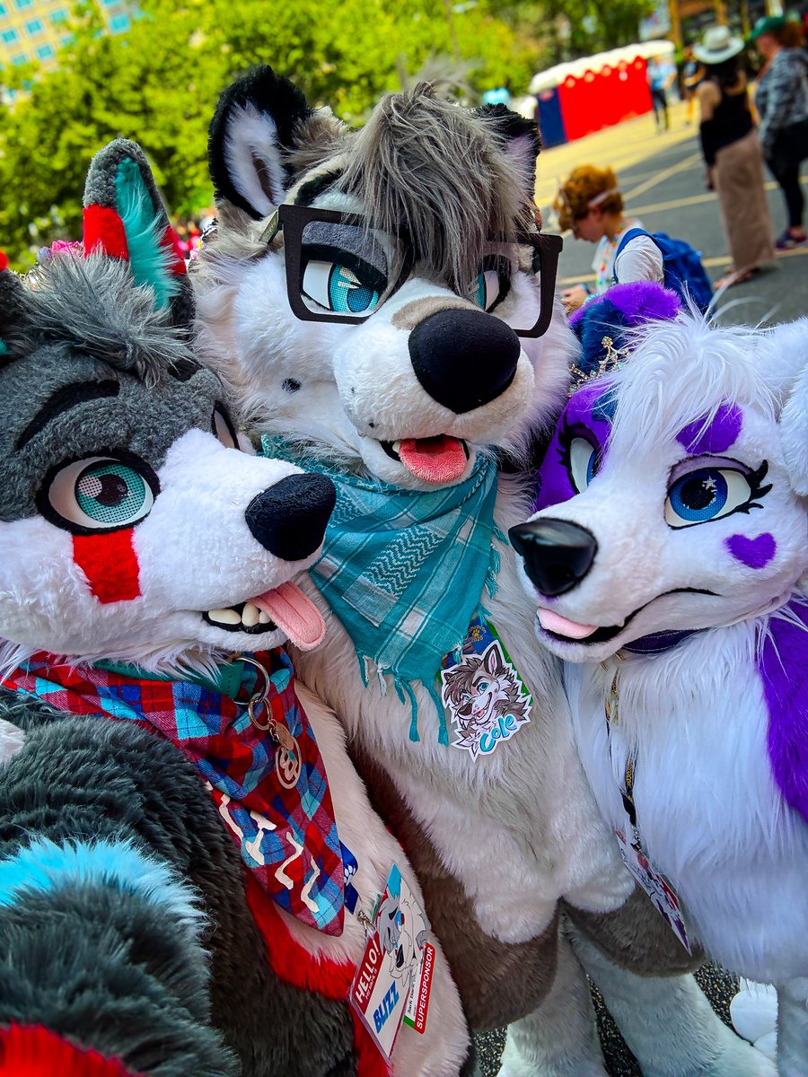 BlizzTheWolf's tweet image. Snuggle crew ✨🤗