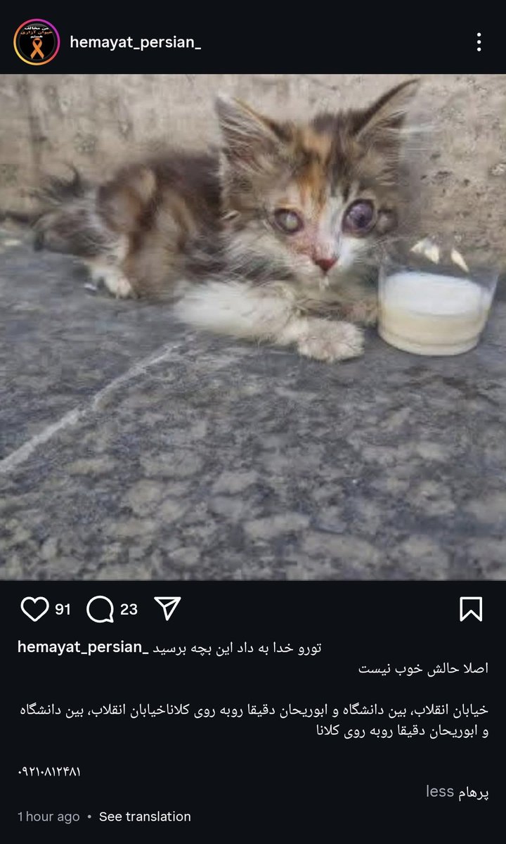 دوستان این بچه #امداد_فوری هست .
کسی میتونه کمکش کنه ؟
#ریتوییت 
#امداد