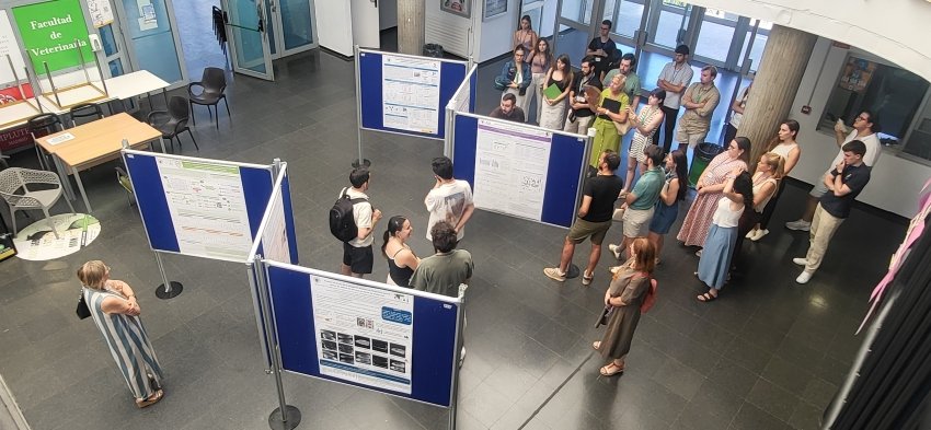 UdcVet's tweet image. 📢📢📢 Ya puedes leer nuestra reseña sobre el #VetinDoc2025 #PhDayUCM, que ha mostrado el enorme nivel científico de doctorandos/as de @VeterinariaUCM @unicomplutense 👏🏼👏🏼👏🏼
✨️Lee aquí: ucm.es/udcvet/vetindo…