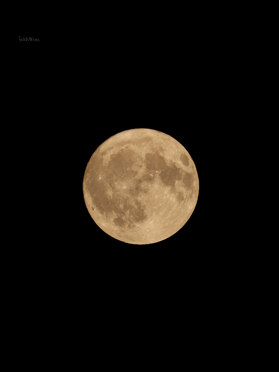 250710 🌕✨

오늘 달이 참 크고 예쁘네 트친들 굿밤 되🕺🏻