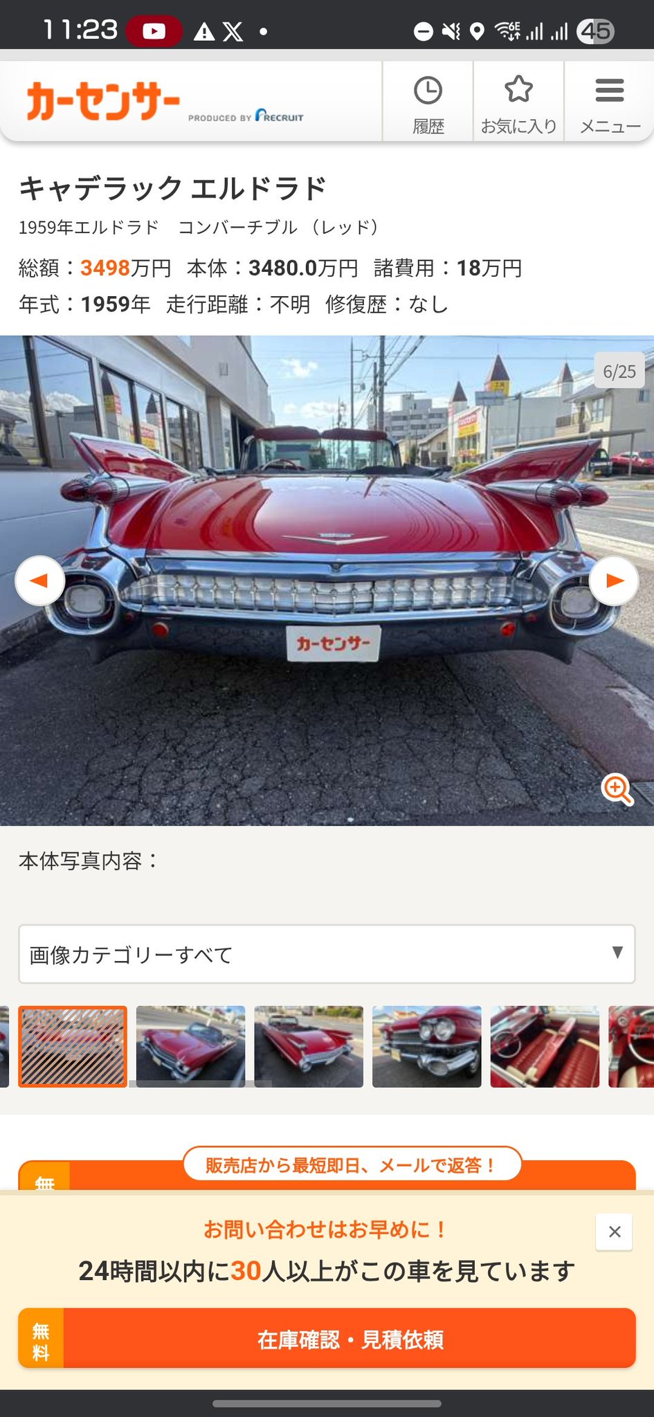 さくら❤︎購入前にプロフ必読❤︎ ☆galle/特大ランプシェード☆ さくら❤︎購入前にプロフ必読❤︎ ☆galle/特大ランプシェード☆