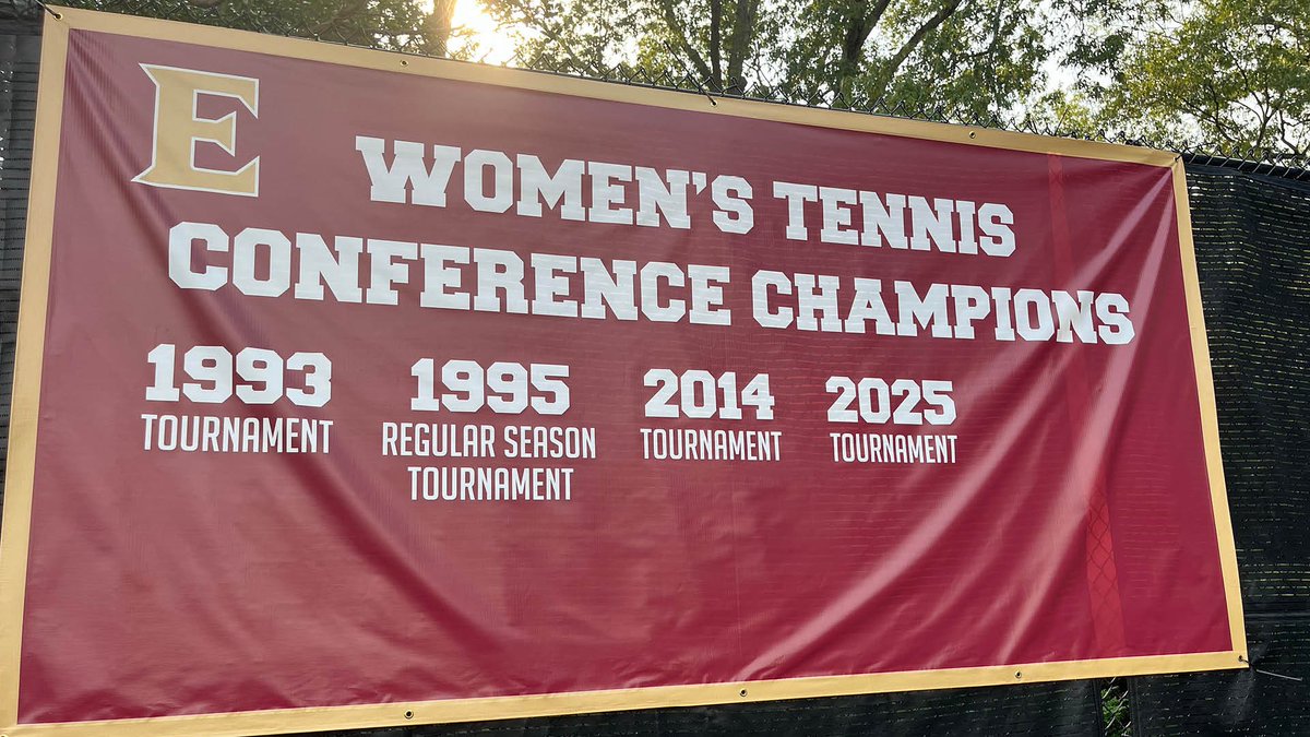 ElonWTennis's tweet image. Made a little update 😉

#PhoenixRising | #EUWT