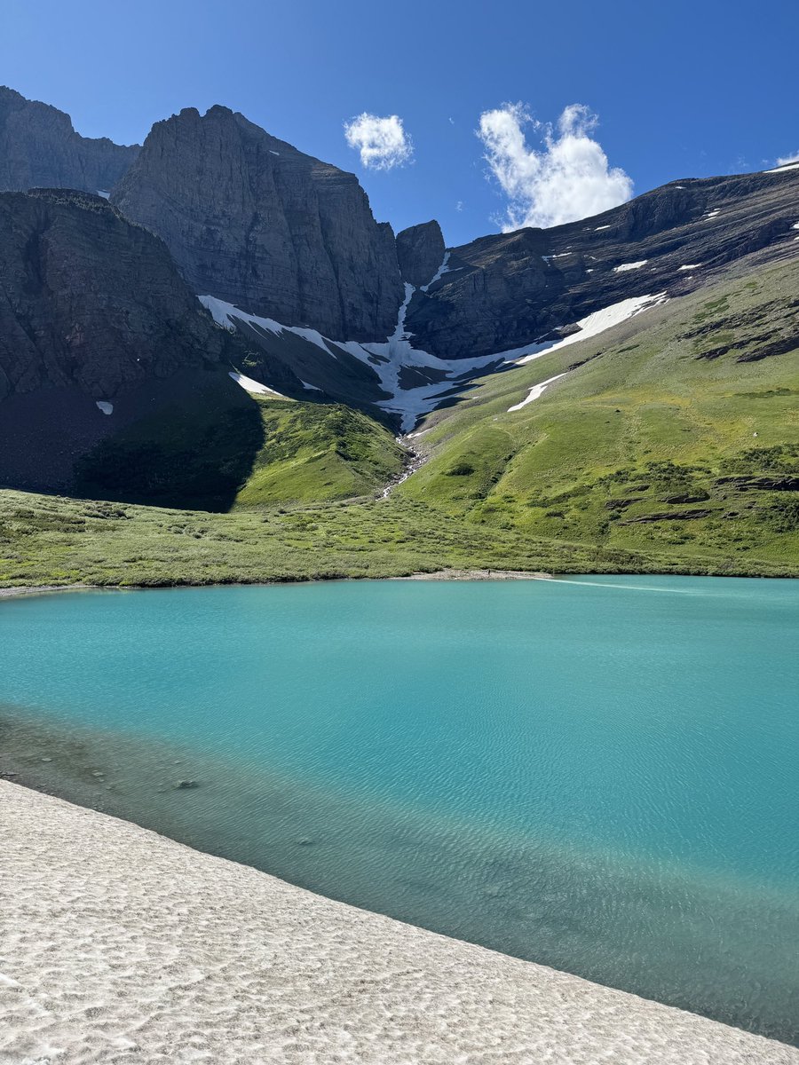 Justin D Kauffman tweet media