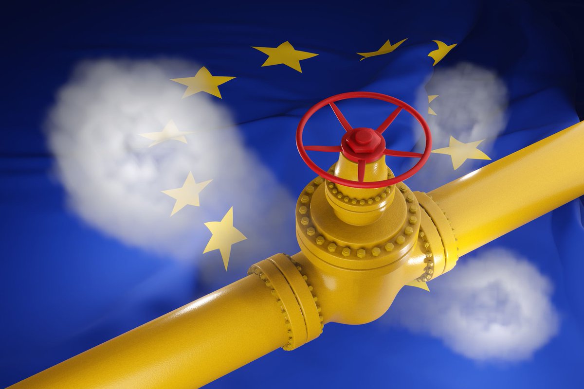 We co-signed, together with Energy Traders Europe, Eurogas, Europex - Association of European Energy Exchanges, FuelsEurope, GIIGNL and IOGP, an Open Letter addressed to the European Commission, asking for a clear Action Plan to be urgently put in place, covering the