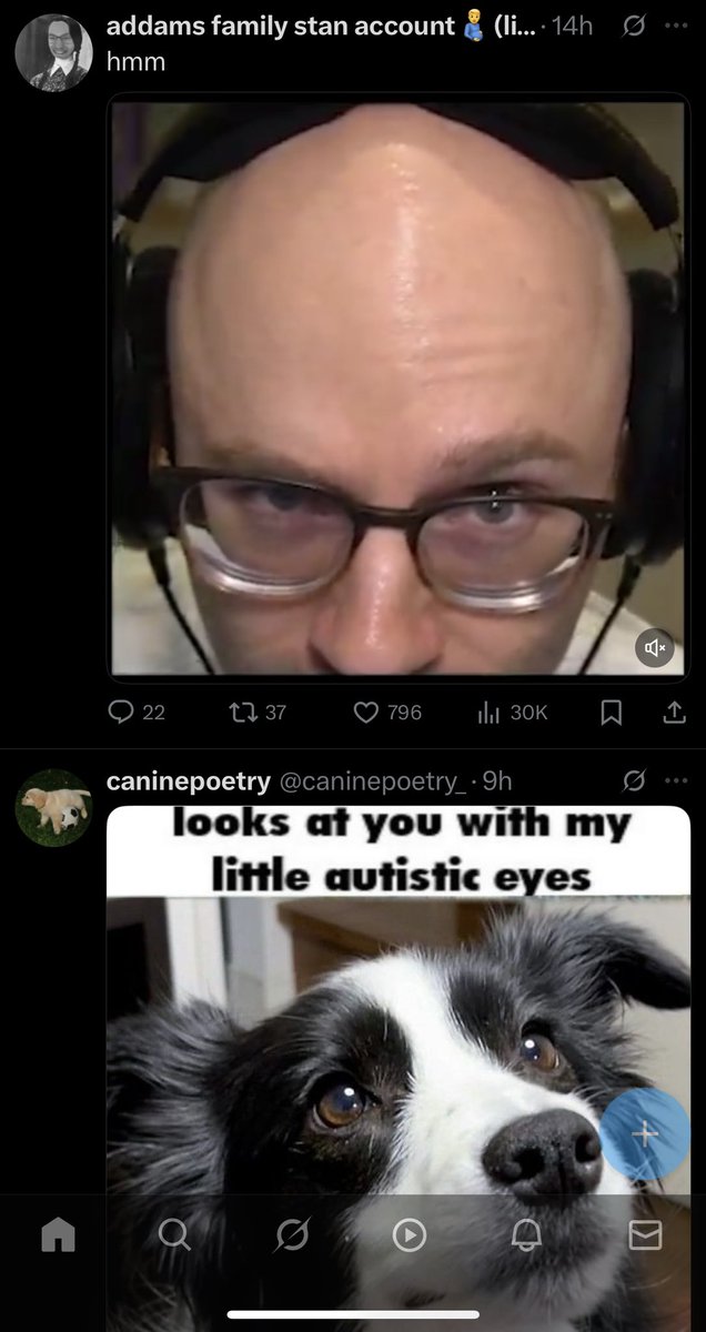 <a href="/NorthernIion_LP/">addams family stan account🫃(librarian)</a>