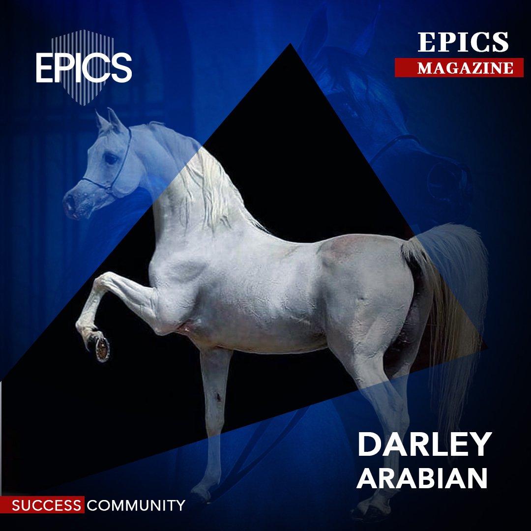 هل يمكن لحصان واحد أن يغير مجرى التاريخ؟ دارلي أرابيان، الحصان العربي الأصيل، فعل ذلك وأكثر! ما قصته!!

لقراءة المقال كاملا يرجئ زيارة الموقع الالكتروني للمجلة 

🔗thwepicsmagazine.com