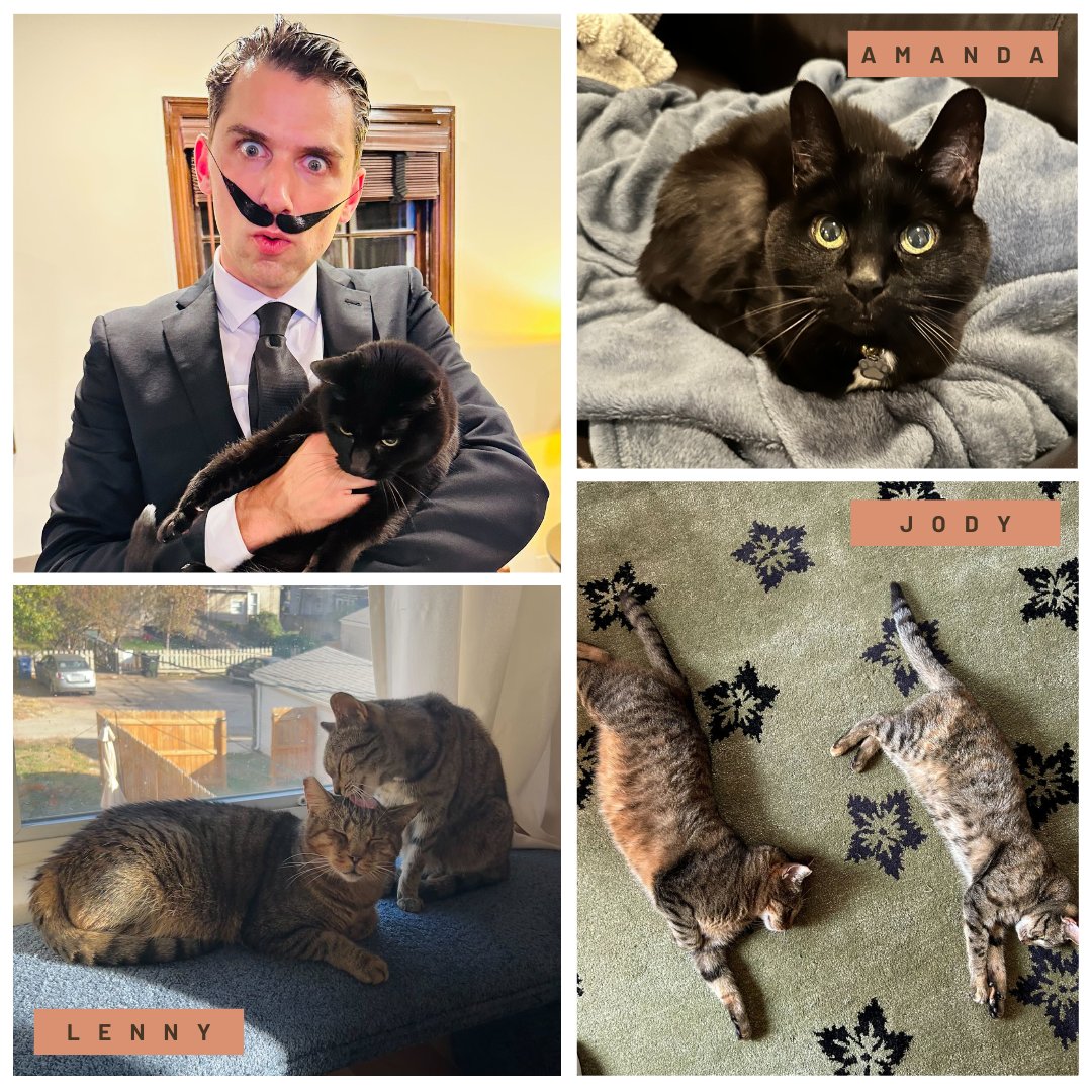 Did you know today was #NationalKittenDay? In order to show our support, we thought it would be a purrrfect time to shine the spotlight on some of our Origo cats 😺