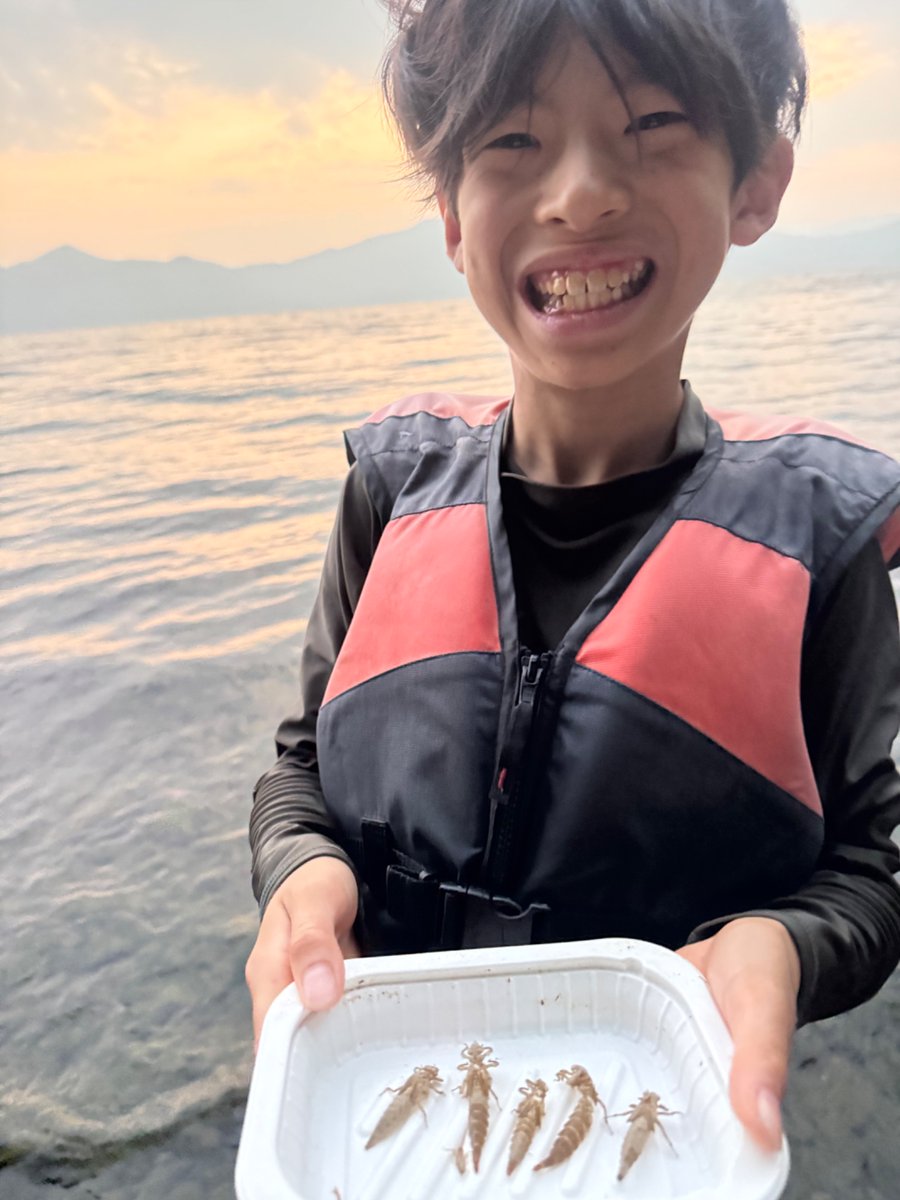 こうちゃん (@wZX7yVmxoLLGts2) / Posts / X