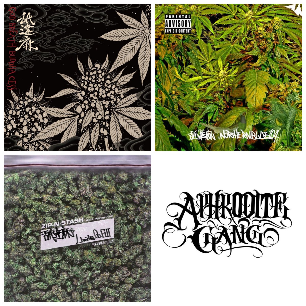 舐達磨 完全未開封 レコード CD 舐達麻 GODBREATH BUDDHACESS 舐達磨