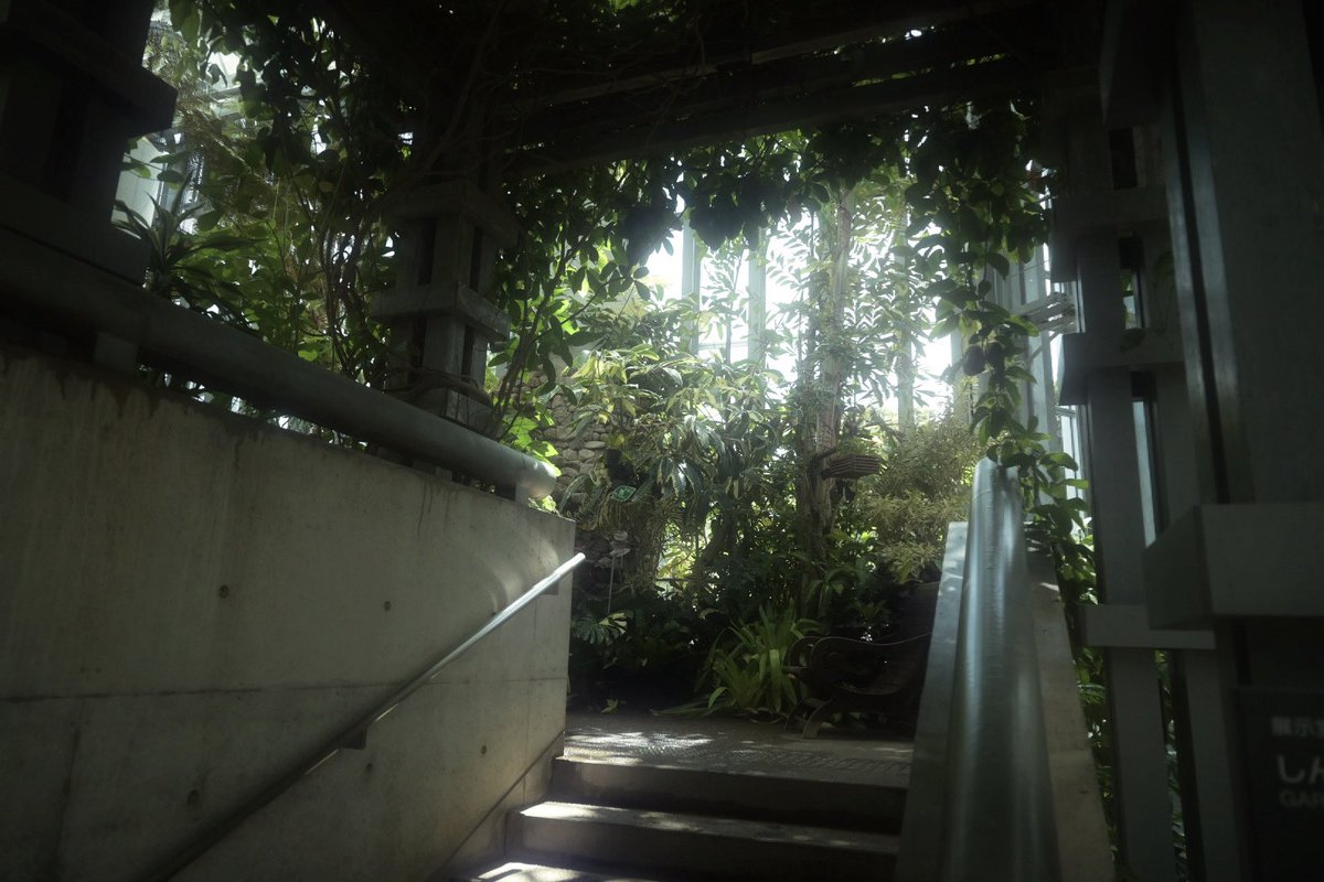 _narwhal____'s tweet image. 