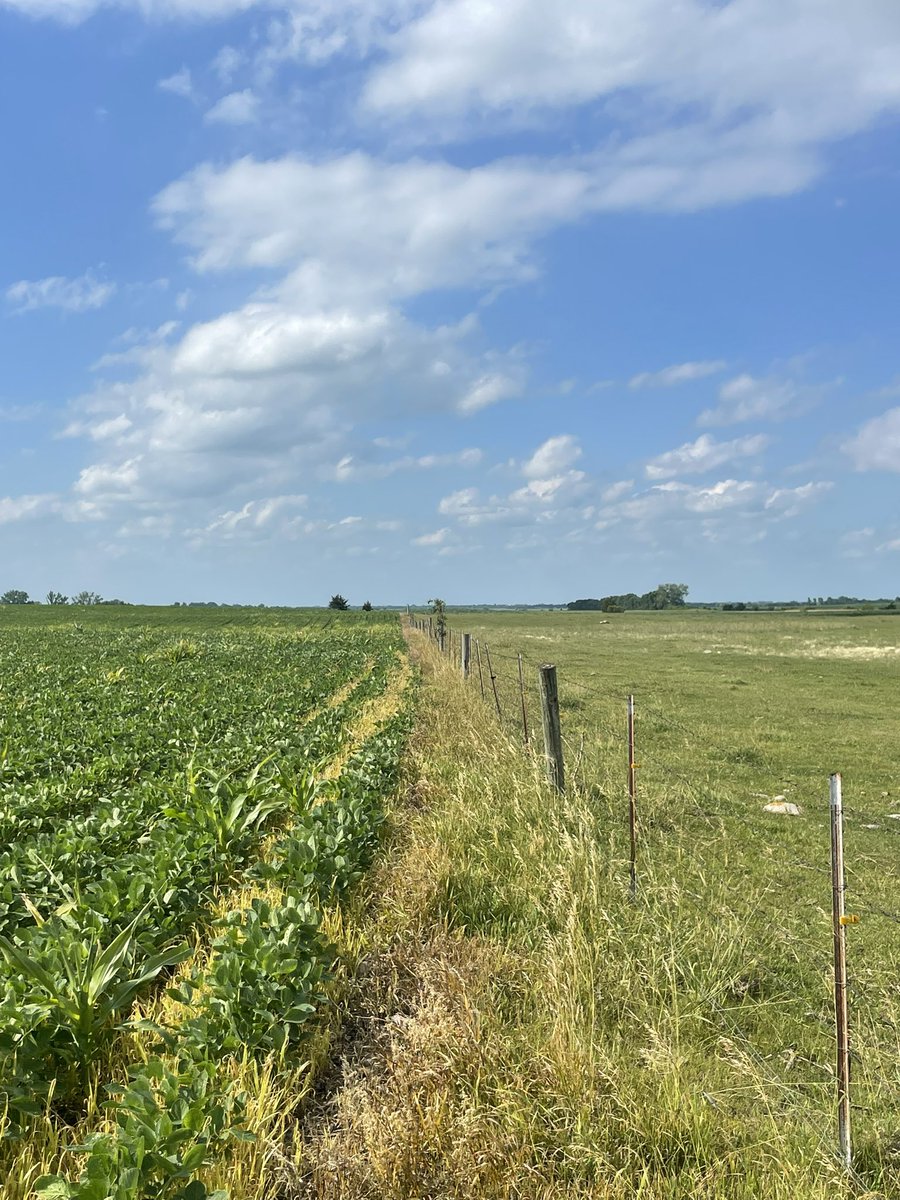 ~605~ ShittalkerFFS tweet media