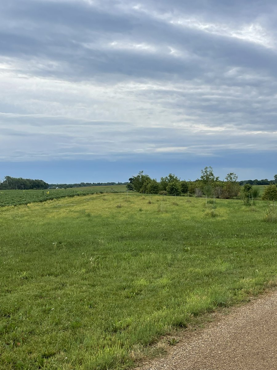 ~605~ ShittalkerFFS tweet media