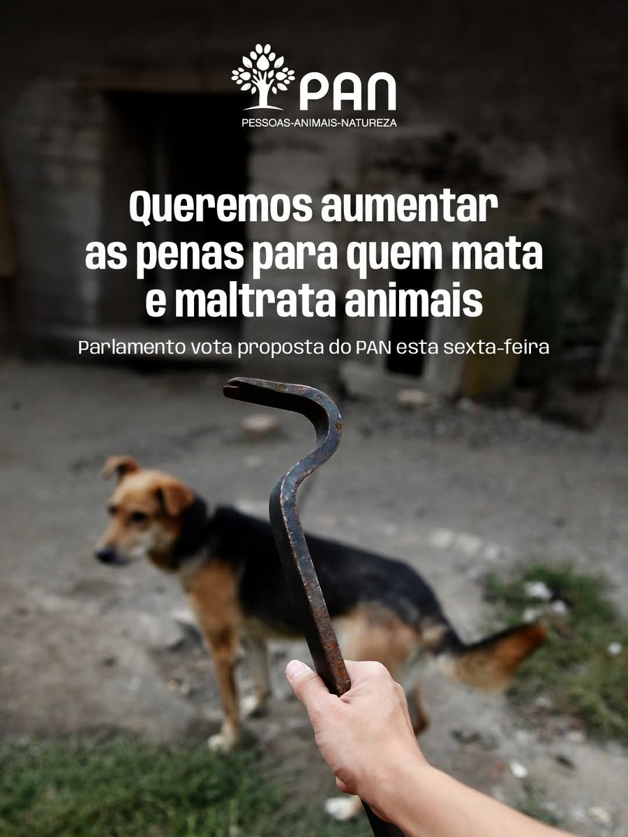 Bom dia, flor do dia! 🌸 Aqui o despertar é com o galo, as brincadeiras e  desabafos com os animais. Eu e meus filhinhos estamos passando para desejar  uma ótima sexta-feira para, image size:900x1200