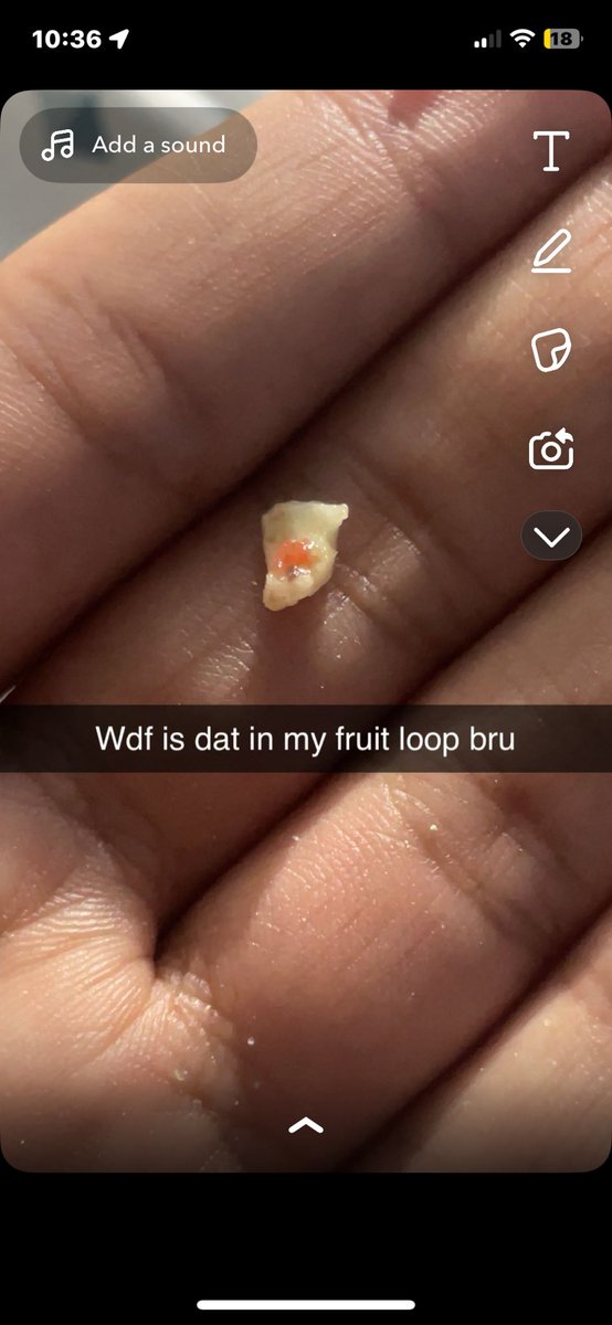 Wolfi Boy tweet media