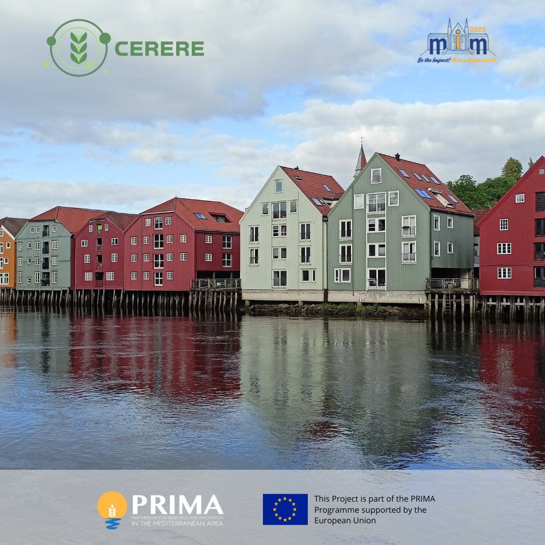🚀 CERERE in Norway!
At the 11th IFAC MIM 2025 International Conference on Manufacturing Modelling, Management, and Control, our team proudly presented groundbreaking research on democratizing Human-AI collaborative decision-making.
#CERERE #Horizon2020 #PRIMA #AI #XAI