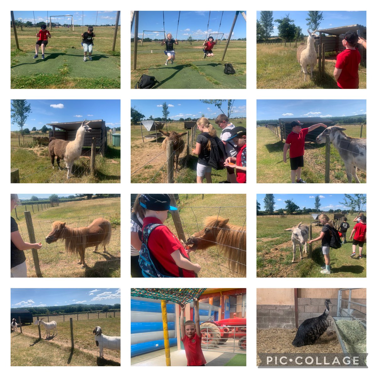 Coed-y-Garn Primary tweet media