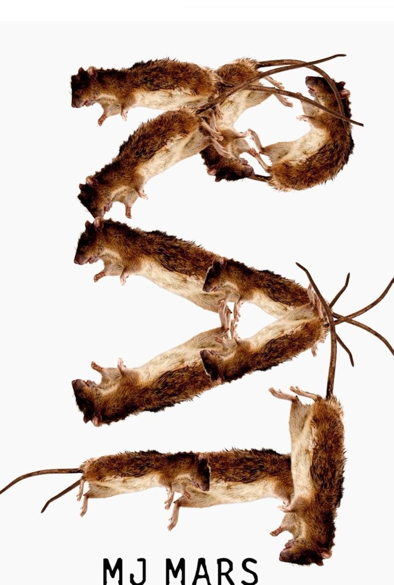 Dale_Dez81's tweet image. Short and creepy. Like the rats 😂. Well-written short story that packs a punch. If you don't mind rats that is.
Reviews up on Goodreads and Amazon.
⭐️⭐️⭐️⭐️ @MJMarsAuthor
#HorrorCommunity #bookreview #kindlebooks