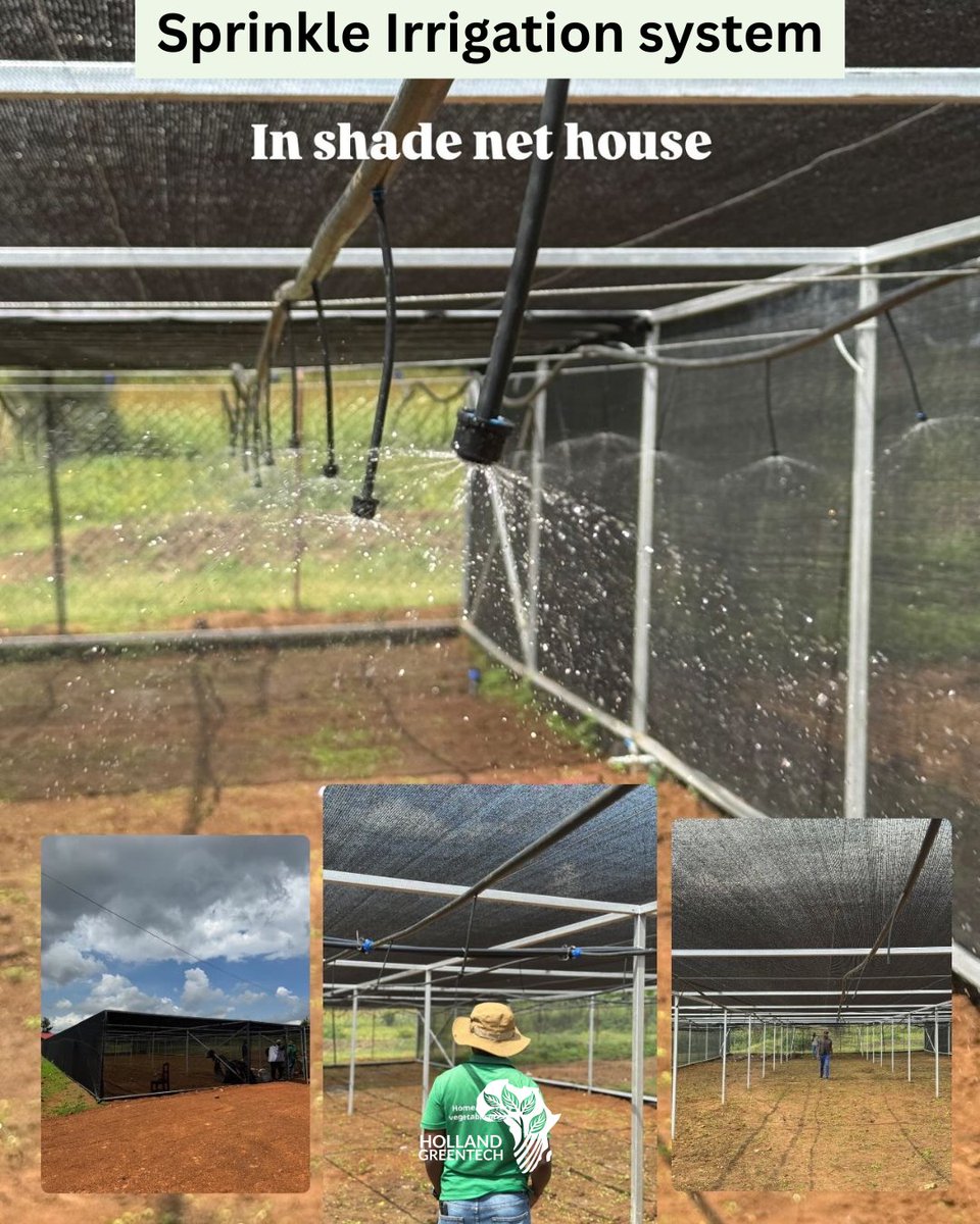 Tornado Circle 12-Stream Sprinkler 🌱
Looking for uniform, gentle irrigation for your nursery or seedbed?
✅ 12 precision water streams
✅ 360° coverage for maximum reach
✅ Ideal for shade net house nurseries
For inquiries, please reach us via 📞0781 449 656