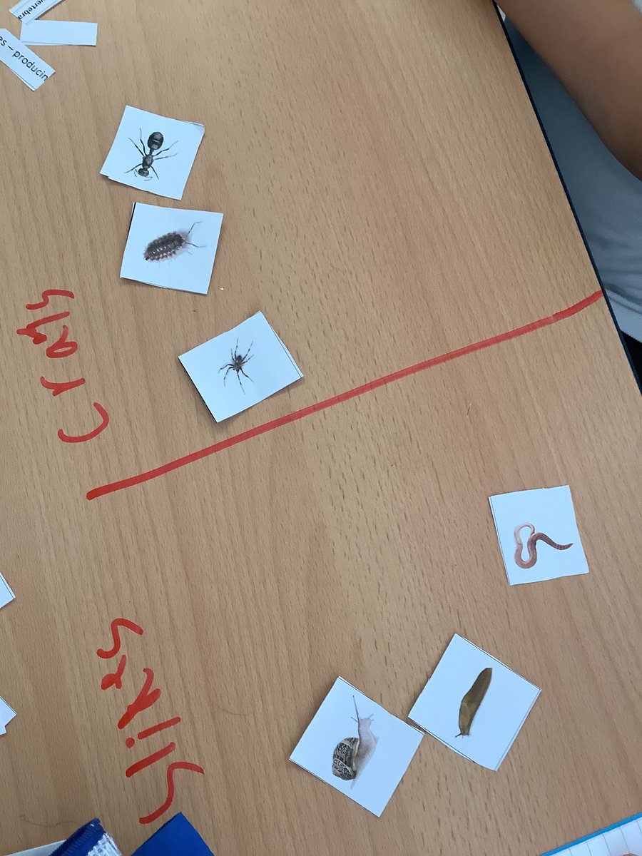 Dawn Atkinson (@miss_atkinson4) on Twitter photo We sorted a set of invertebrates into as many different groups as we could think of. <a href="/FallaParkSchool/">Falla Park Community Primary School</a> We sorted a set of invertebrates into as many different groups as we could think of. <a href="/FallaParkSchool/">Falla Park Community Primary School</a>