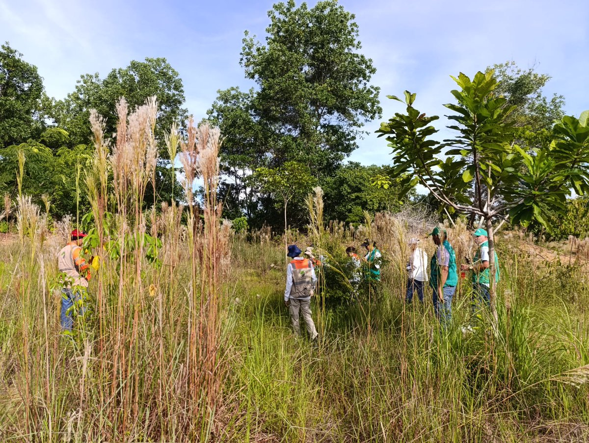 Corpomojana's tweet photo. ¡Te contamos! 
CORPOMOJANA en sinergia con la Agencia Nacional de Licencias Ambientales - ANLA y Autopistas de la Sabana continuamos realizando actividades de inspección y monitoreo en la Reserva Forestal El Indio, predio que esta bajo la proteccion de la Corporación. https://t.co/KdeMtpd17n