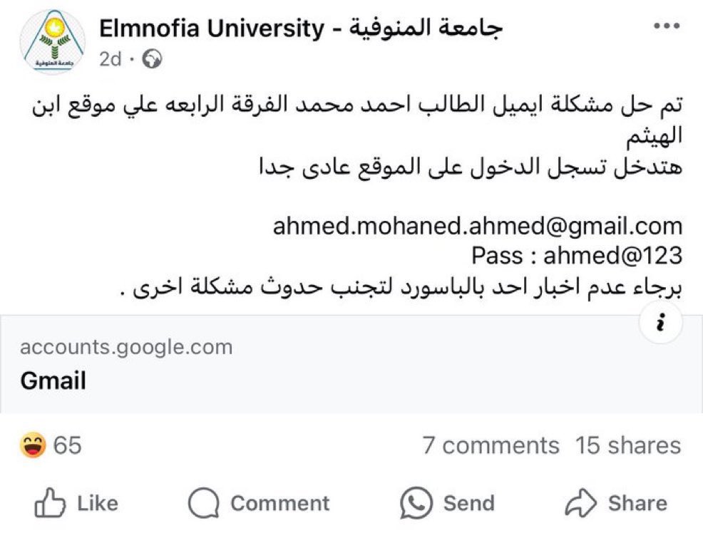الأمن السيبراني في مصر :