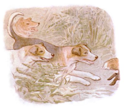 ellin_anderson's tweet photo. REPURPOSED
The spinster’s cottage
Was formerly a hen-coop —
The fox has his fill
#Reynard the immortal trickster has become a common, set-upon and possibly dead fox by the end of The Tale of #JemimaPuddleduck. #BookologyThursday #BeatrixPotter @BeatrixPotterSo #haiku #micropoetry https://t.co/nNSy4ILMpF