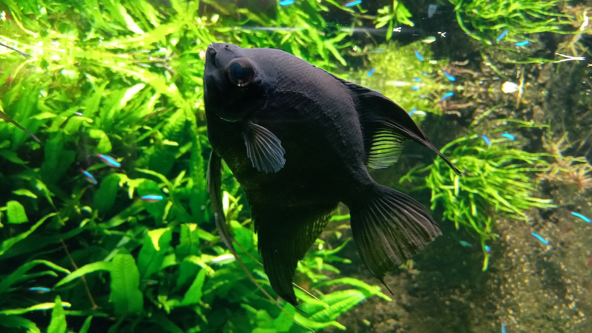 浅虫水族館へ!
館内は涼しいです｡
#浅虫水族館