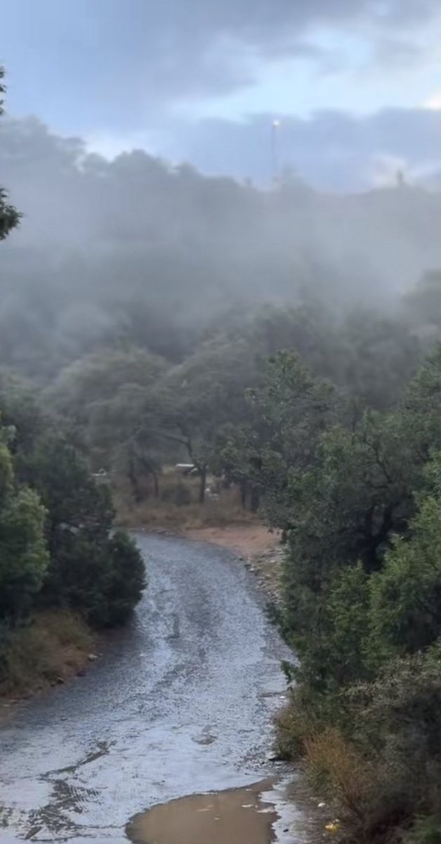 يازين ديارنا❤️❤️❤️❤️