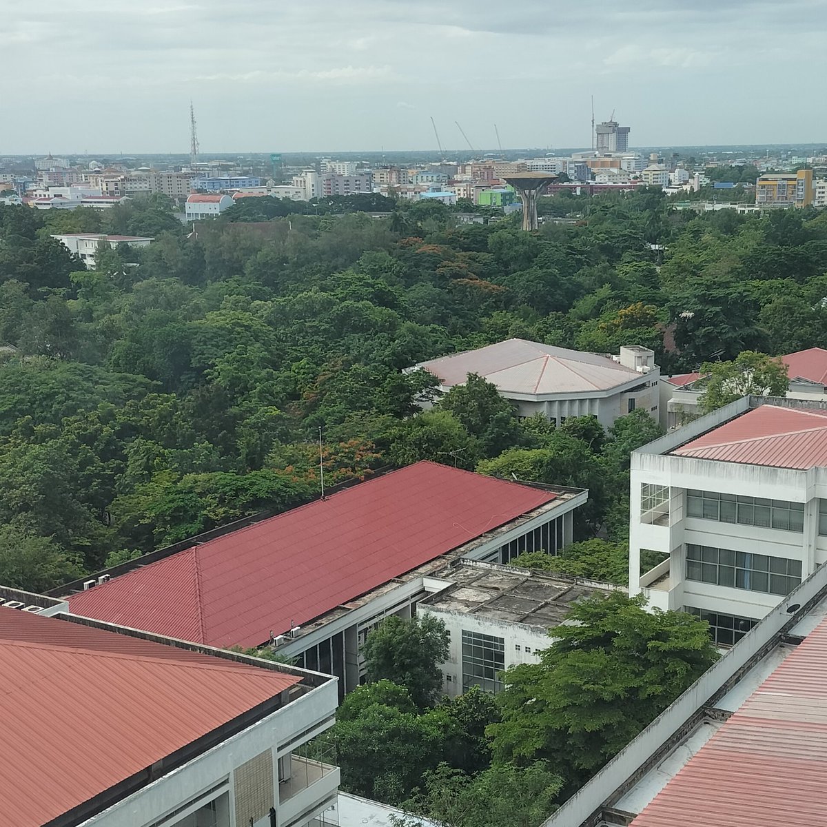 This is how my 1st week as a pharmacy student look like.